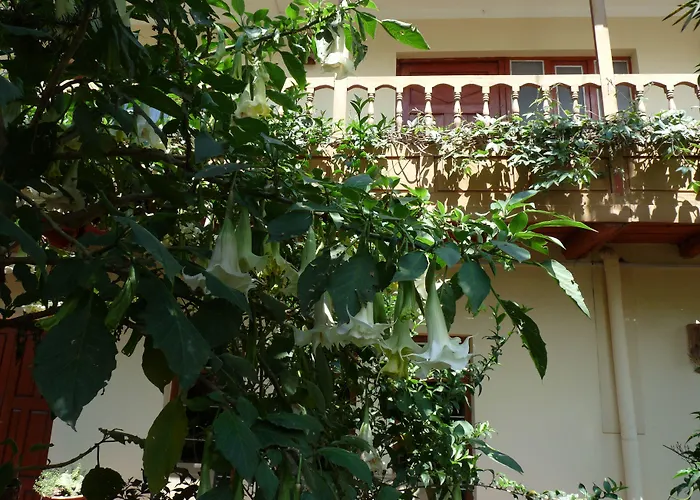 Bed & Breakfast Kukuli