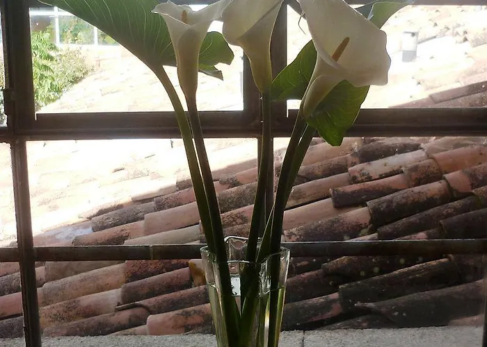 Kukuli Bed & Breakfast Cusco