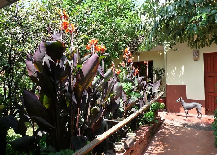 Kukuli