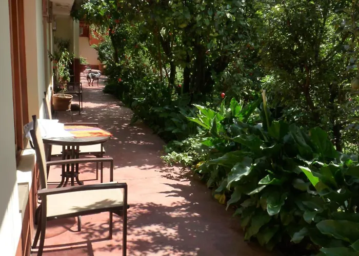 Bed & Breakfast Kukuli Cusco